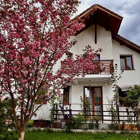 Apartmán Cristina House Brašov Exteriér fotografie